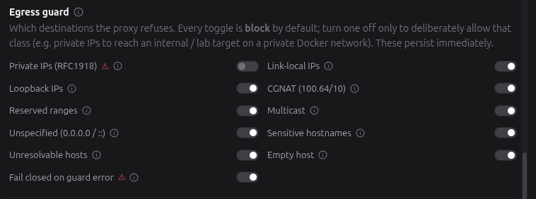 TrafficMind settings dialog — egress guard